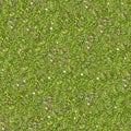 Spring Lawn with Some Flowers. Seamless Texture. Royalty Free Stock Photo