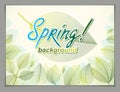 Spring leaves horizontal background, nature seasonal template for design banner, ticket, leaflet, card, poster with green and