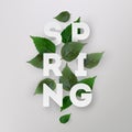 Spring letter with leaves.