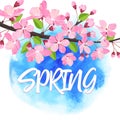 Spring lettering. Blossoming tree brunch with spring flowers. Vector illustration.