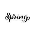 Spring lettering design logo. Decorative typography element. Season label. Young culture fashion art for t-shirt emblem