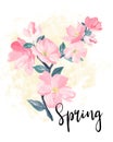 Spring lettering.  greeting cards, banners and invitation card with blossom sakura flowers. Color pink sakura cherry blossom flowe Royalty Free Stock Photo