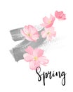 Spring lettering. greeting cards, banners and invitation card with blossom sakura flowers. Color pink sakura cherry blossom flowe