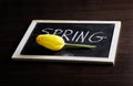 Spring lettering,SPRING Table ,FLOWER spring board,flower table,yellow tulip