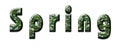 Spring lettering on a white background with letters from a spri