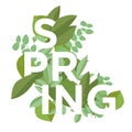 Spring letters on leaves background. Spring Poster with typography and plants.