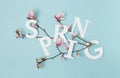 Spring letters with white and pink magnolia tree flowers branch against pastel blue background. Minimal nature season concept Royalty Free Stock Photo