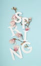 Spring letters with white and pink magnolia tree flowers and branches against pastel blue background. Minimal vertical nature Royalty Free Stock Photo