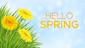 Spring light blue sky background with grass and dandelions Royalty Free Stock Photo