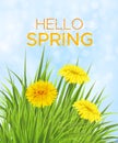 Spring light blue sky background with grass and dandelions Royalty Free Stock Photo