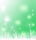 Spring light green background for Easter greeting card, social media, web banner, sale labels and discount promo with grass, dande Royalty Free Stock Photo
