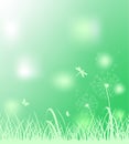 Spring light green background for Easter greeting card, social media, web banner, sale labels and discount promo with grass, dande Royalty Free Stock Photo