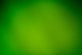 spring light green blur background, glowing blurred design, summer background Royalty Free Stock Photo