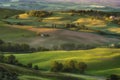 Spring light painted fields in Tuscany