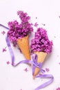 Spring lilac flowers in waffle cones on grey concrete textured Royalty Free Stock Photo