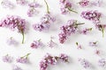 Spring Lilac Flowers on White Wooden Background