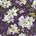 Spring Lily Flowers Background