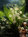 Spring lily of the valley flowers have bloomed. Sun rays on flowers. Macro photography. Vertical format