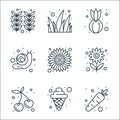 spring line icons. linear set. quality vector line set such as carrot, ice cream, cherry tomato, flower, sunflower, snail, onion, Royalty Free Stock Photo