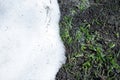 Last snow and first grass. Royalty Free Stock Photo