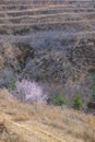 Spring Loess Plateau hills Royalty Free Stock Photo