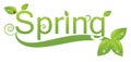 Spring logo design Royalty Free Stock Photo