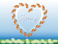 Spring love heart of butterflies on a bunch or white daisies Royalty Free Stock Photo