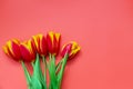 Spring lovely flowers on pink background. Royalty Free Stock Photo