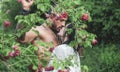 Spring lovers in blooming garden. Lovely spring couple kiss and hugs. Summer couple and erotic moment. Couple outdoors Royalty Free Stock Photo