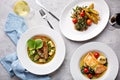 Spring lunch trio of salmon chicken and vegetarian Royalty Free Stock Photo