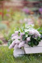 Spring lush lilac flowers bouquet in white wooden decorative wheelbarrow in backyard garden Royalty Free Stock Photo