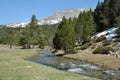 Spring in the Madriu-Perafita-Claror valley