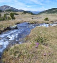 Spring in the Madriu-Perafita-Claror valley