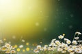 spring is a magic season. beautiful photorealistic wallpaper with copy space for text