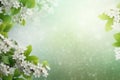 spring is a magic season. beautiful photorealistic wallpaper with copy space for text