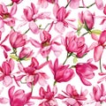 Spring magnolia flowers floral watercolor background Seamless pattern. Beautiful magnolia flower hand drawn illustration Royalty Free Stock Photo