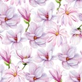 Spring magnolia flowers floral watercolor background Seamless pattern. Beautiful magnolia flower hand drawn illustration Royalty Free Stock Photo