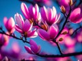 Spring magnolia flowers and twigs. Generative AI