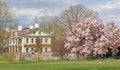 Spring Magnolia tree and Bellefield administration building at FDR Historic Site Royalty Free Stock Photo