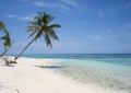 Spring in Maldives Royalty Free Stock Photo
