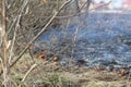 Burning dry grass in the spring.