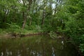 The green shore of a small river Royalty Free Stock Photo