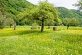 Spring meadow with bee houses Royalty Free Stock Photo