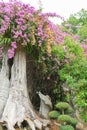 Spring meadow with big tree with fresh green leaves and pink flowers. Green park. Summer time Royalty Free Stock Photo