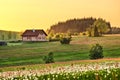 Spring meadow with cottage