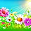 Spring meadow with daisies and sun. Vector illustration. AI generated Royalty Free Stock Photo