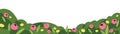 Spring meadow flowers and grass border. Field floral plants, leaf in summer garden, decoration. Decorative wild blooms