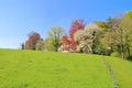 Spring meadow in front of the house. Royalty Free Stock Photo