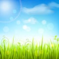 Spring meadow grass blue sky poster