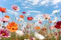 Spring meadow with multi-colored forest flowers and blue sky in the background.